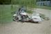 whiteharley